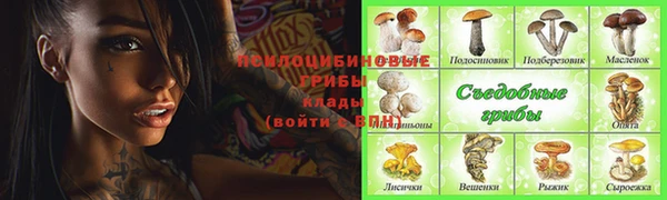 соль ск Магадан