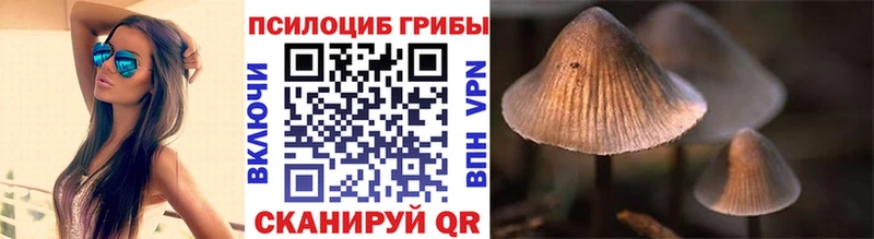 Псилоцибиновые грибы Magic Shrooms  Новомичуринск 